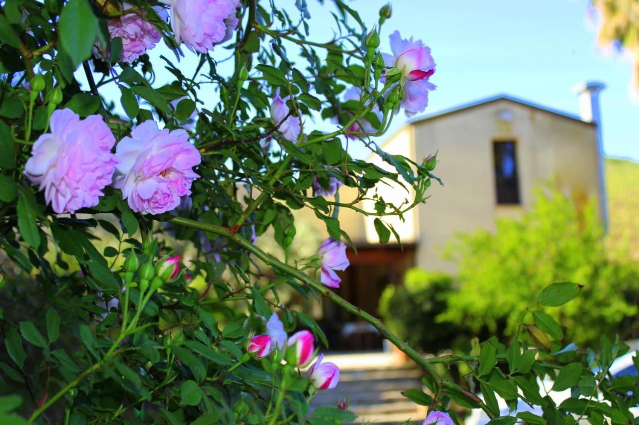 Agriturismo Tarantola Vila Alcamo Exterior foto